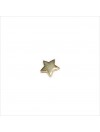Boucles d'oreilles puce étoile en plaqué or - Bijoux fins de créateur